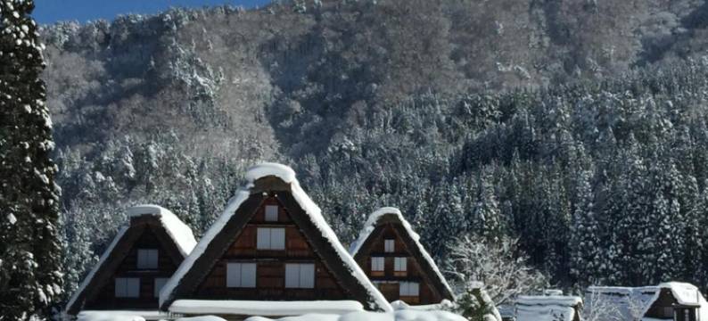 白川乡之汤(Shirakawago No Yu Hotel)图片