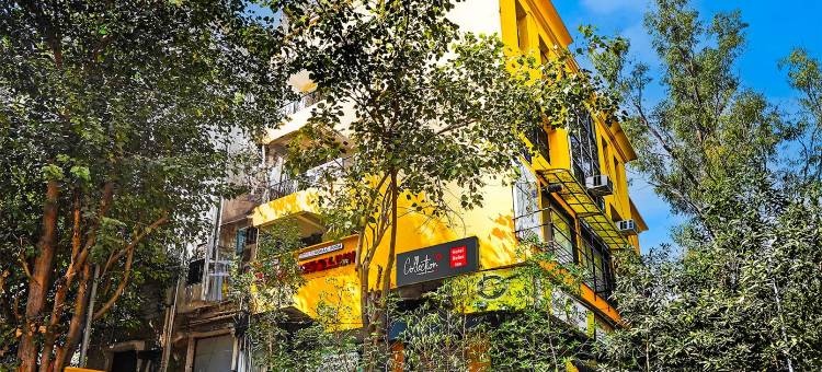 休闲旅馆(Hotel Relax Inn)图片