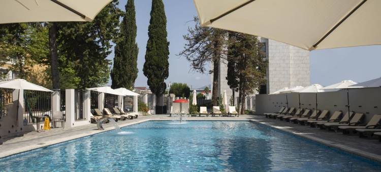 Cosmos Adler Hotel图片