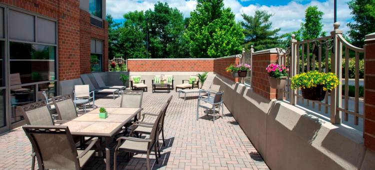 费城威洛格罗夫万豪SpringHill酒店(SpringHill Suites Philadelphia Willow Grove)图片