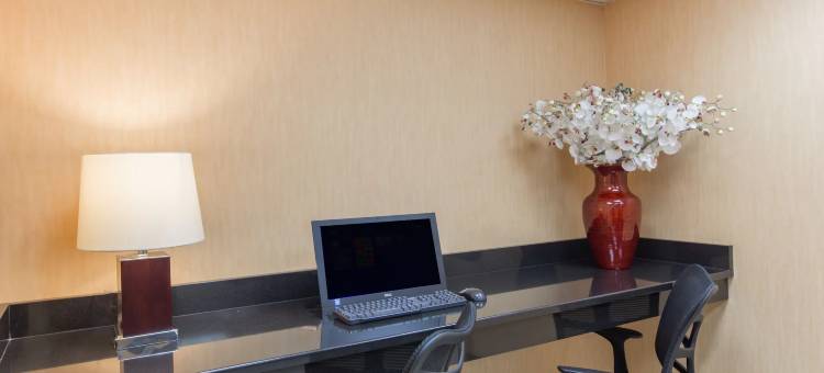 巴东斯维尔波克诺斯温德姆呗盟套房酒店(Baymont by Wyndham Bartonsville Poconos)图片