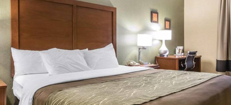 舒适酒店(Comfort Inn)图片