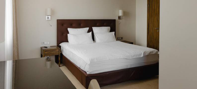 梅尔根巴托酒店(Cosmos Selection Ulan-Ude Hotel)图片