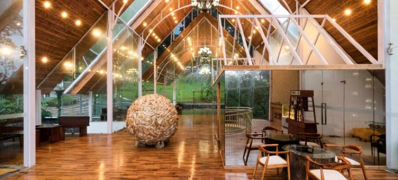 艾利克西尔山套房水疗酒店(Elixir Hills Suites Resort and Spa)图片