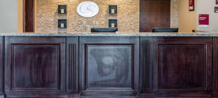 伦斯勒舒适套房酒店 - 近费尔奥克斯(Comfort Suites Rensselaer near Fair Oaks)图片