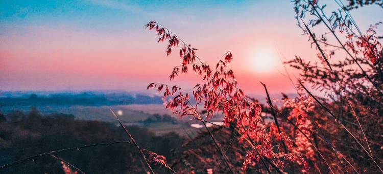 布罗莫家庭宾馆(Bromo Family Guest House)图片