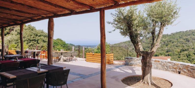 圣塔玛格丽塔庄园(Domaine Santa Margherita)图片