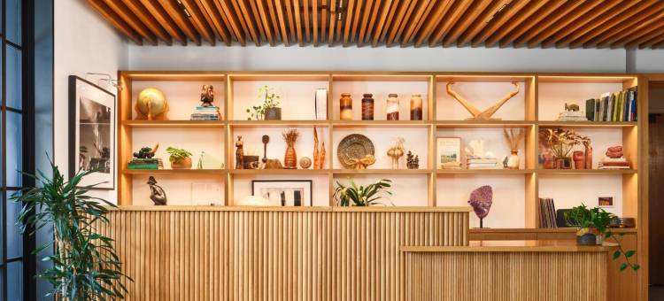 马达莲娜酒店(Hotel Magdalena)图片