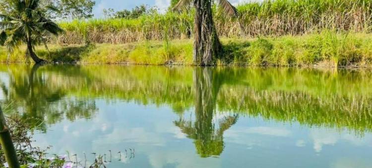 Tungdindum Farm Stay图片