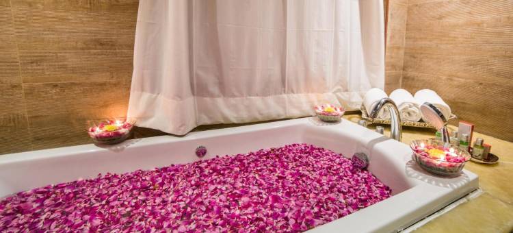 西塔拉豪华酒店-拉莫吉电影城(Ramoji Film City- Sitara Luxury Hotel)图片