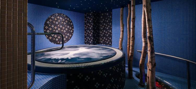 斯美塔别墅温泉酒店(Spa Hotel Villa Smetana)图片