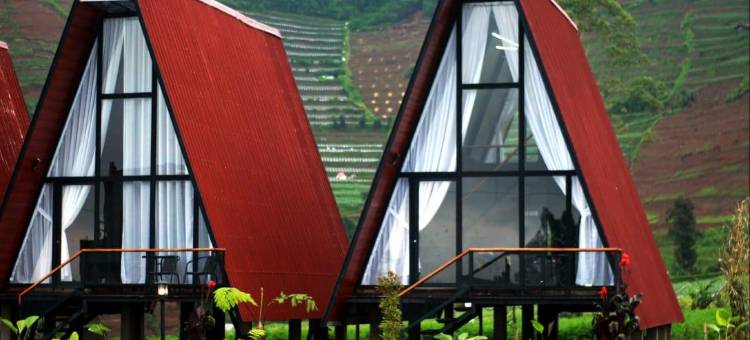 迪恩格塞里亚度假村(DIENG CERIA RESORT)图片