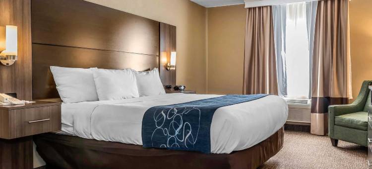 迈阿密斯堡-南代顿舒适全套房酒店(Comfort Suites Miamisburg - Dayton South)图片