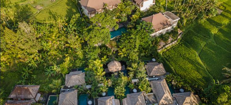 太阳粮仓度假别墅(The Sun of Granary Resort and Villas)图片