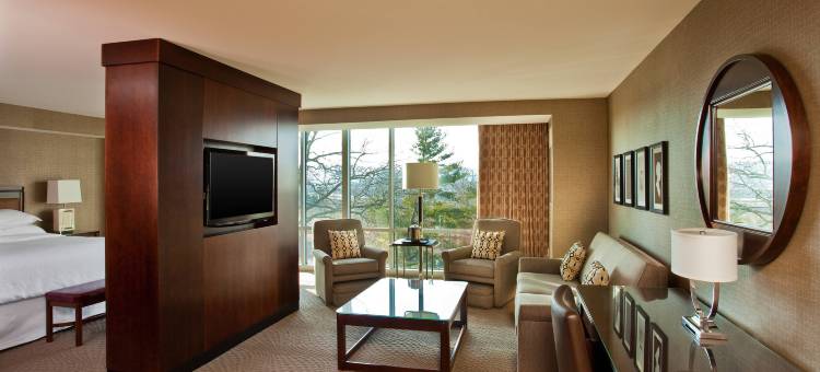 普鲁士王市福吉谷喜来登酒店(Sheraton Valley Forge King of Prussia)图片