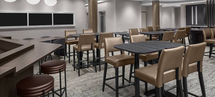 SpringHill套房由万豪酒店 东拉瑟福德梅多兰/卡尔斯塔特(SpringHill Suites East Rutherford Meadowlands/Carlstadt)图片