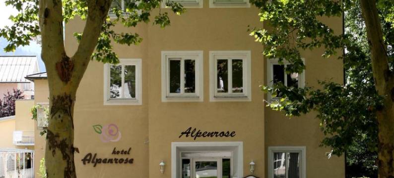 阿尔派罗斯酒店(Hotel Alpenrose)图片