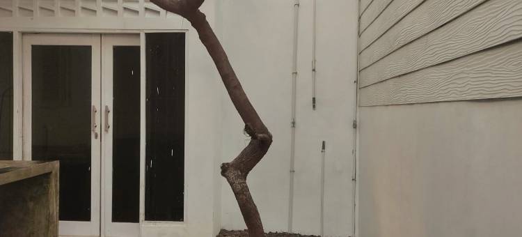 Omah Dahayu Homestay Syariah图片