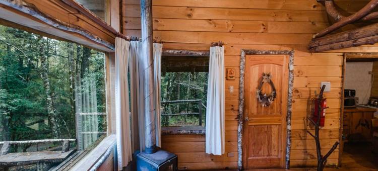 回罗回罗山林小屋(Huilo Huilo Cabañas del Bosque)图片