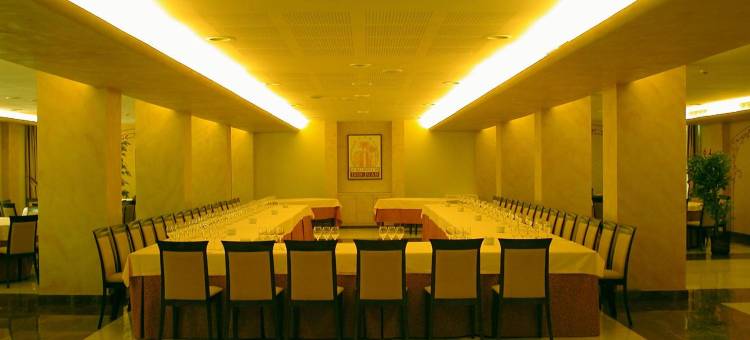 唐璜庄园新凯水疗酒店(Silken Spa la Hacienda de Don Juan)图片