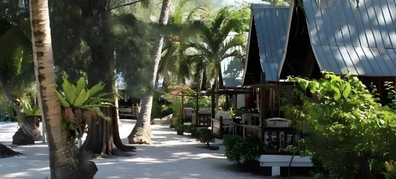 珊瑚景岛度假村(Coral View Island Resort)图片