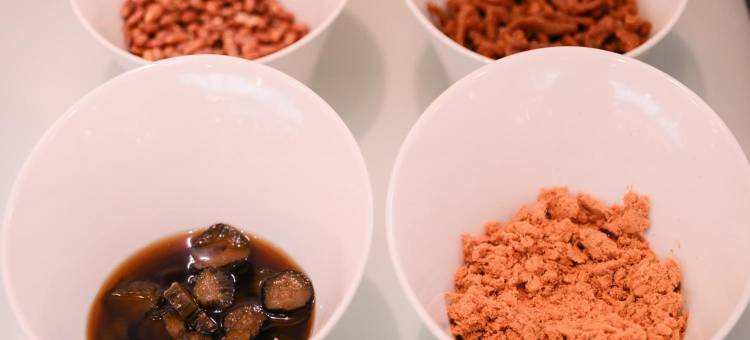 凯莱汽车旅馆图片