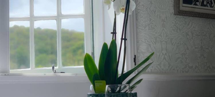 传统景观旅馆(Heritage View Guest House)图片