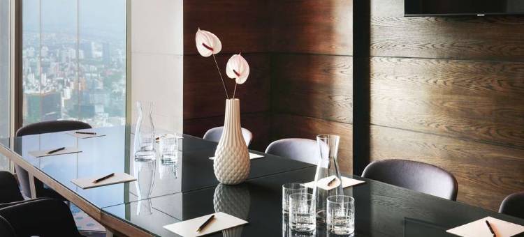 索菲特蒙得维的亚卡拉斯科娱乐场和水疗酒店(Sofitel Montevideo Casino Carrasco & Spa)图片