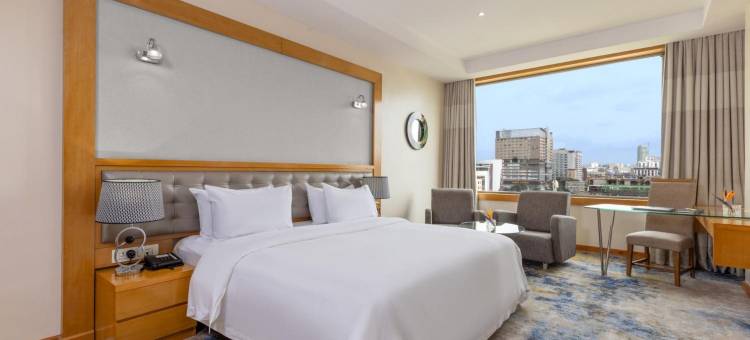 内罗毕韦斯特兰郁锦香饭店(Golden Tulip Westlands Nairobi)图片