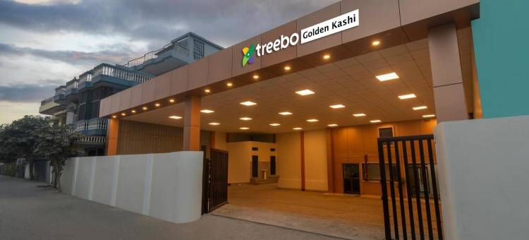Treebo 金色卡西(Treebo Golden Kashi)图片