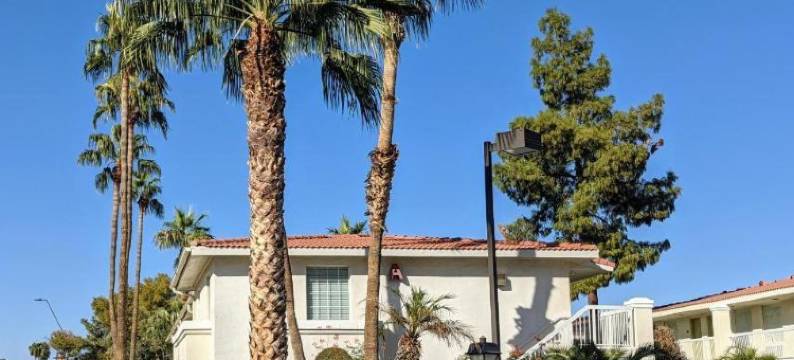 Baymont Inn & Suites by Wyndham Tempe University/Phoenix图片