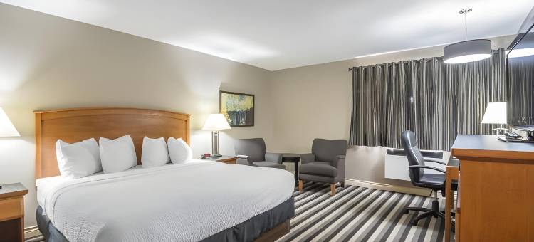 西埃德蒙顿凯艺酒店(Quality Inn West Edmonton)图片