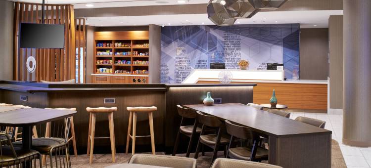 底特律威克森万豪SpringHill Suites酒店(SpringHill Suites by Marriott Wixom Novi)图片