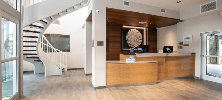 纽波特万枫酒店(Fairfield Inn & Suites Newport Cincinnati)图片