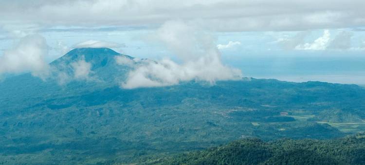 Rumah Nalu冲浪营(Rumah Nalu Surf Camp)图片