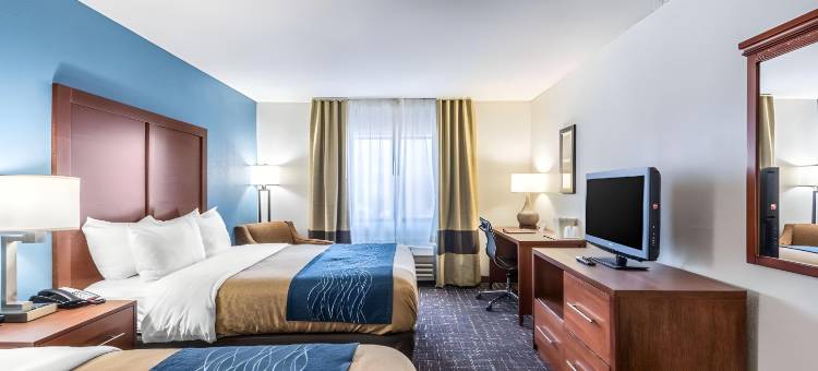 利斯萨米特舒适套房酒店-堪萨斯城(Comfort Inn & Suites Lees Summit - Kansas City)图片