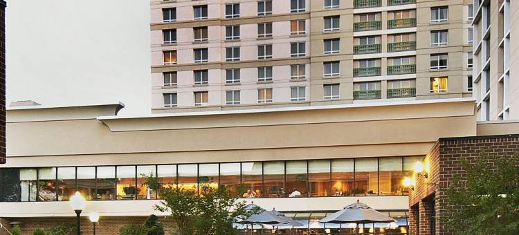 麦克莱恩泰森希尔顿逸林酒店(DoubleTree by Hilton McLean Tysons)图片