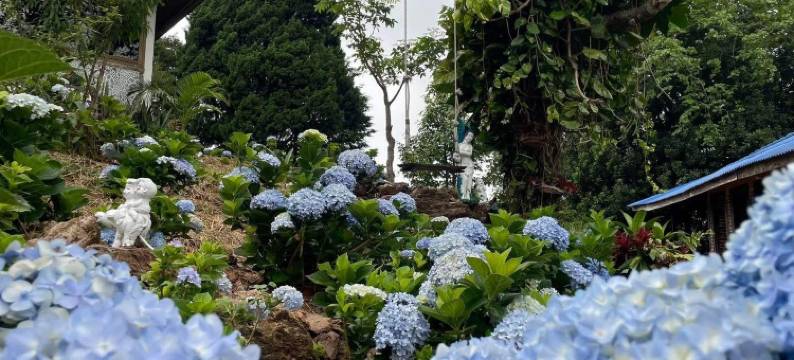 乌克里特农场山旅馆(Ukrist Farm Hill Resort)图片
