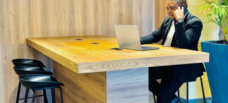 卢萨卡假日酒店(Holiday Inn LUSAKA by IHG)图片