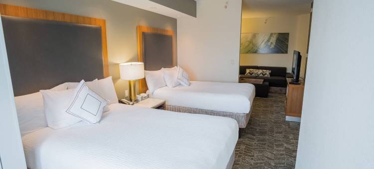 温斯顿塞勒姆哈内斯商城SpringHill Suites 酒店(SpringHill Suites Winston-Salem Hanes Mall)图片