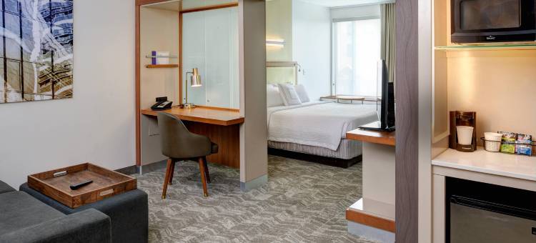 SpringHill Suites Saginaw图片