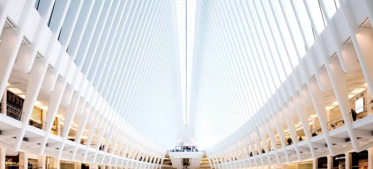 纽约金融区英迪格酒店(Hotel Indigo NYC Financial District)图片