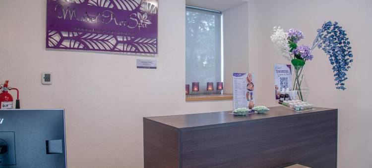 特拉斯卡拉假日酒店(Holiday Inn Tlaxcala)图片