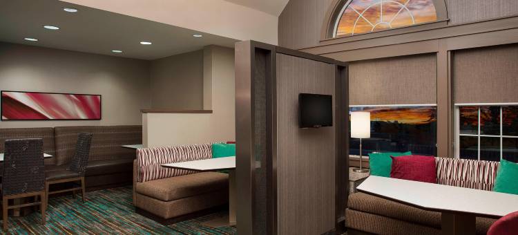底特律诺维Residence Inn 酒店(Residence Inn Detroit Novi)图片