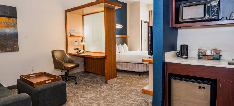 圣安东尼奥市阿拉莫广场／会议中心万豪SpringHill酒店(SpringHill Suites San Antonio Alamo Plaza/Convention Center)图片