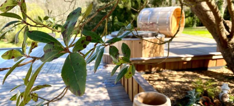 巴鲁托酒庄(Domaine Baruteau)图片