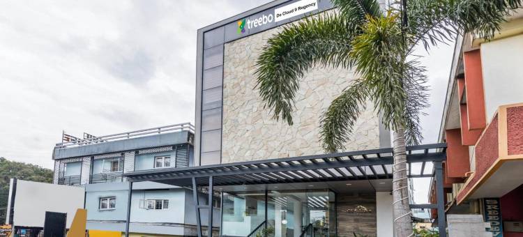 Treebo de Cloud 9 Regency图片