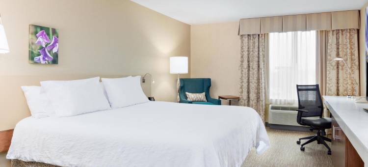 福尔瑟姆希尔顿花园酒店(Hilton Garden Inn Folsom)图片