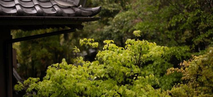 由布院温泉日之春旅馆(Yufuin Onsen Hinoharu Ryokan)图片