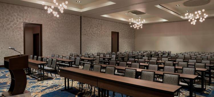 布法罗莱康港中心万豪酒店(Buffalo Marriott at Lecom Harborcenter)图片